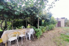 Casa semindipendente di paese con giardino
